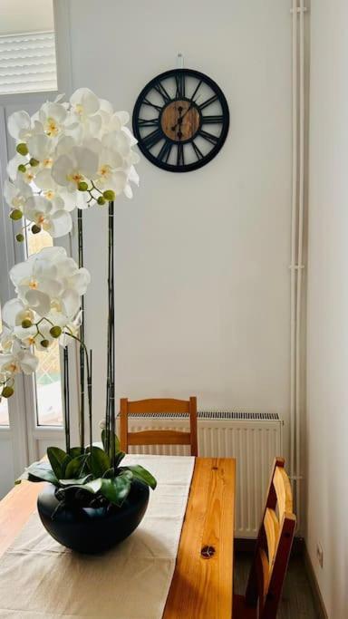 Celine * Cormontreuil